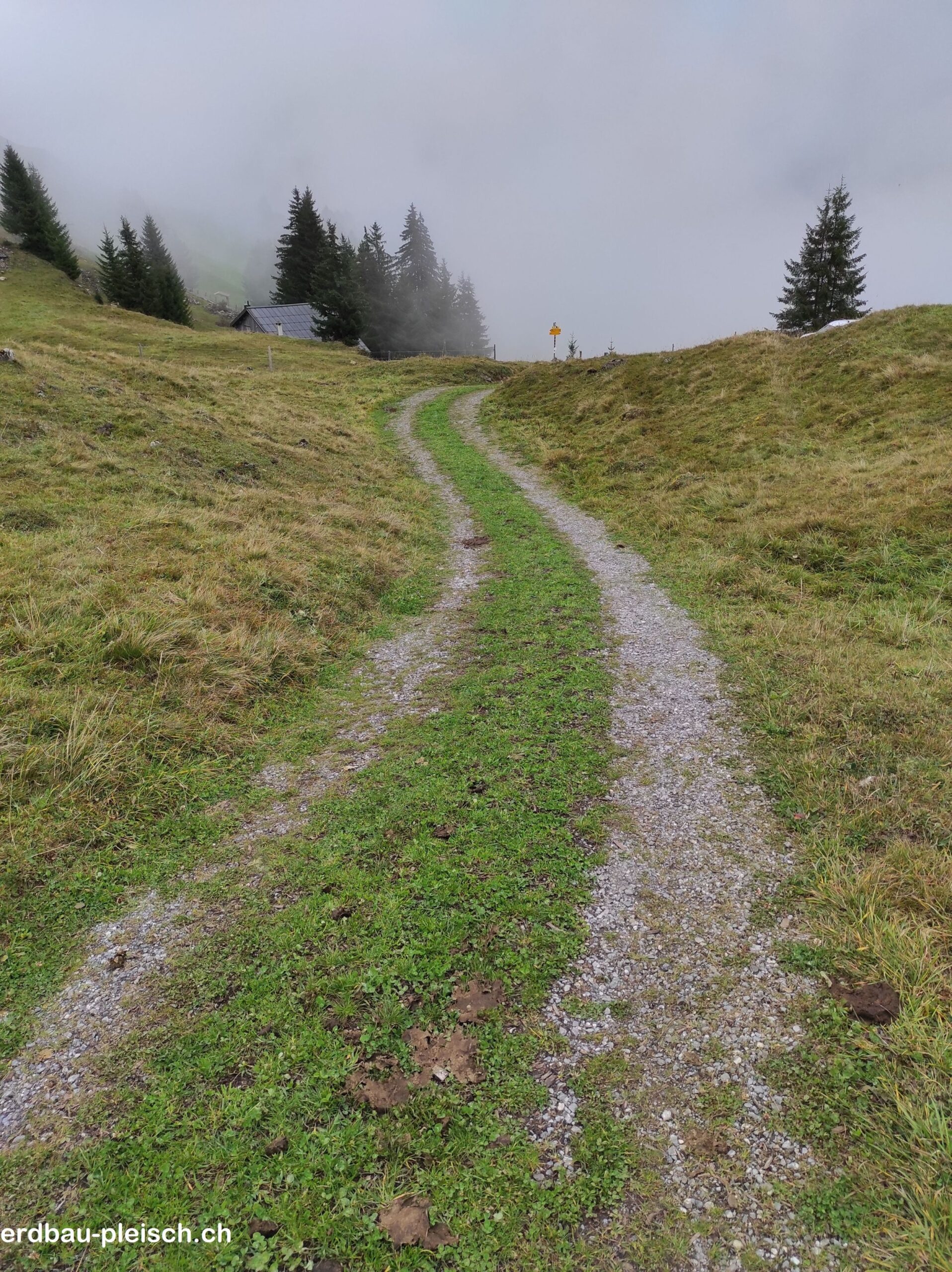 Maiensäss_Begrünt_23_1